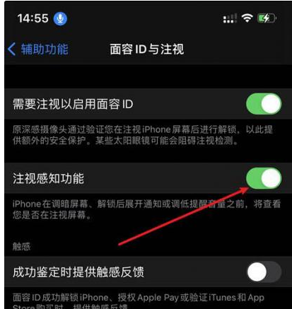 宁远苹果14维修网点分享iPhone14注视感知功能有什么用 